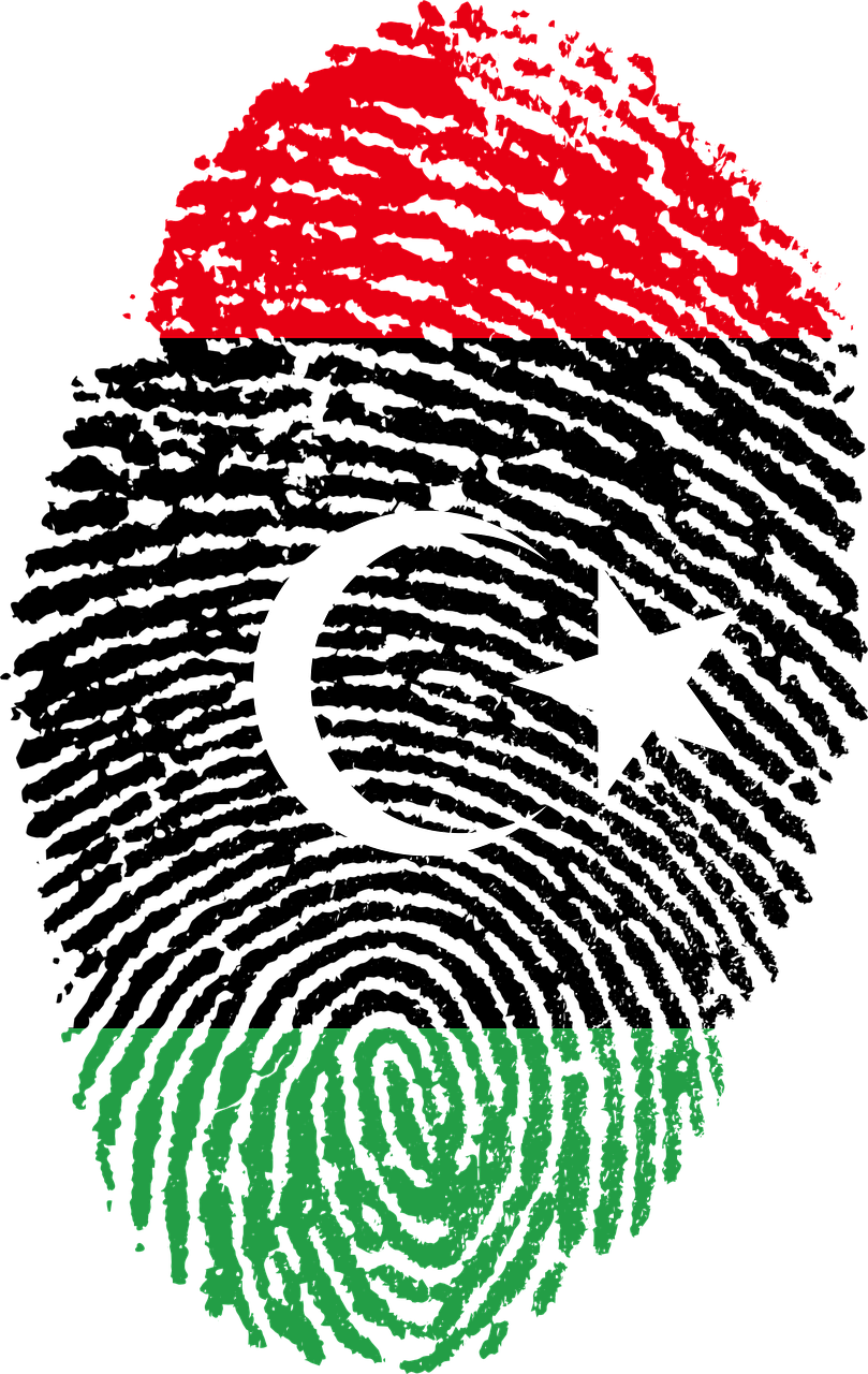 المسودة النهائية لدستور ليبيا دراسة عيانية