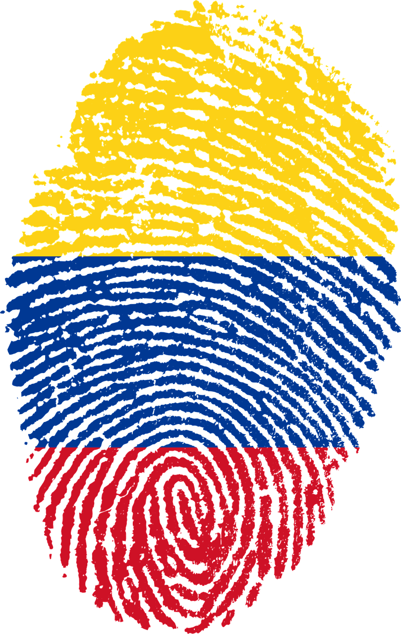 IDEA: The Role of Constitution-Building Processes in Democratization - Case Study Colombia