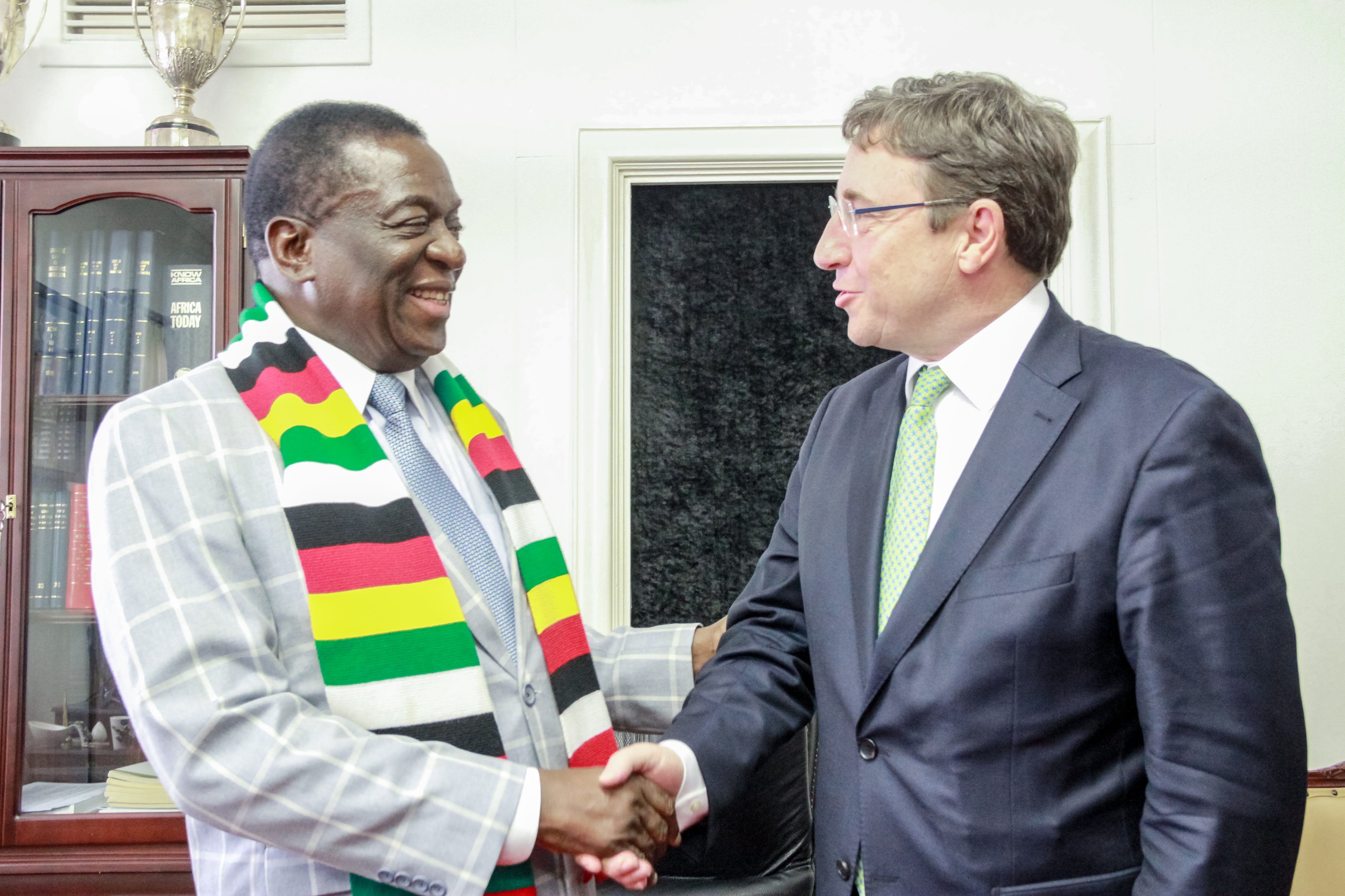 President Emmerson Mnangagwa of Zimbabwe (photo credit: United Nations Development Programme/flickr)