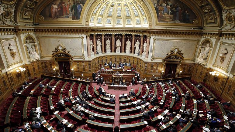Senate of France (photo credit: Francois Mori / AP Photo)