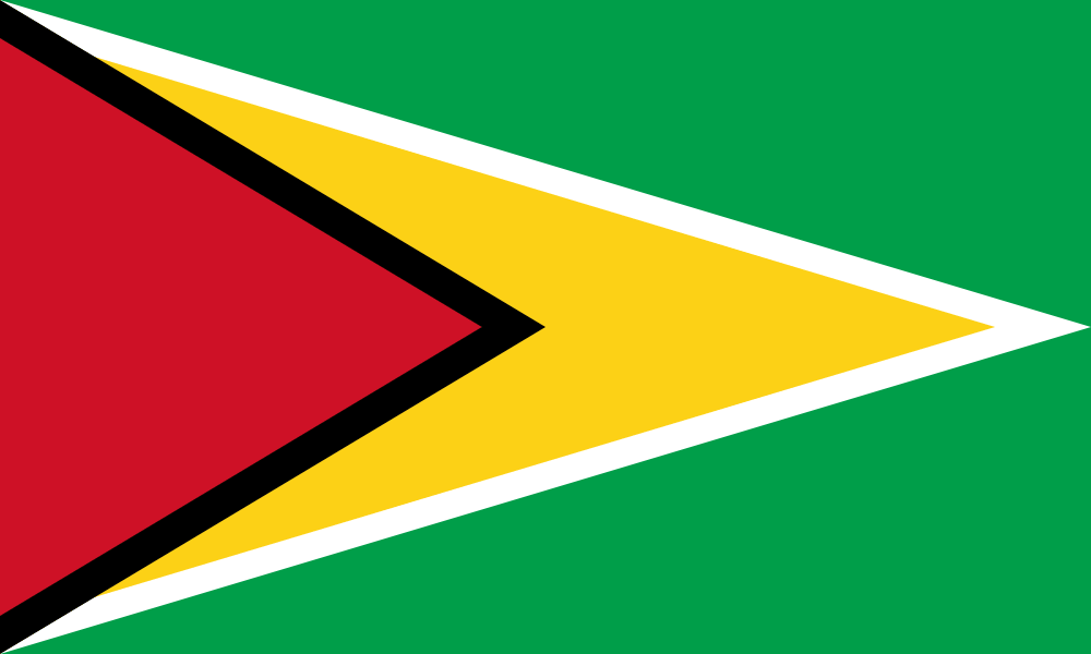 National Flag of Guyana (photo credit: Facts.co)