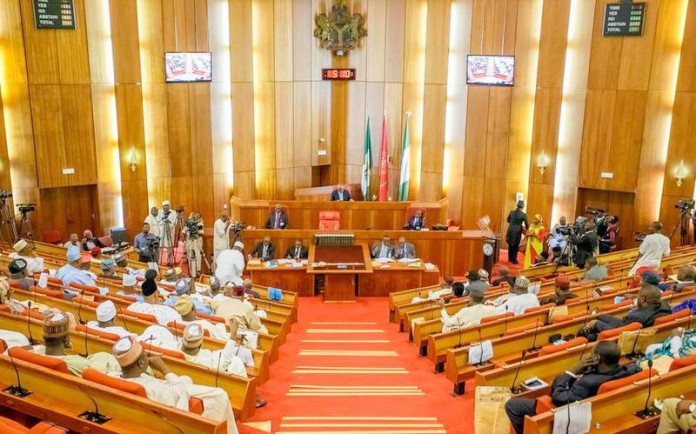 Nigerian Senate (photo credit: The Will)