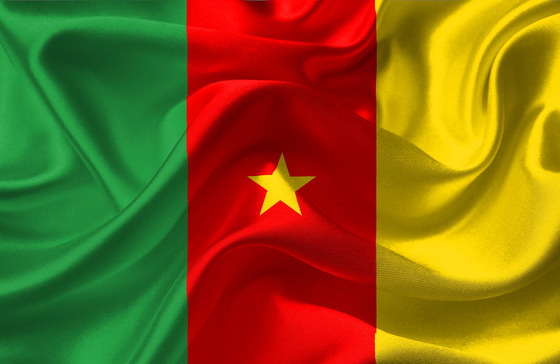 Flag of Cameroon (photo credit: pixabay)
