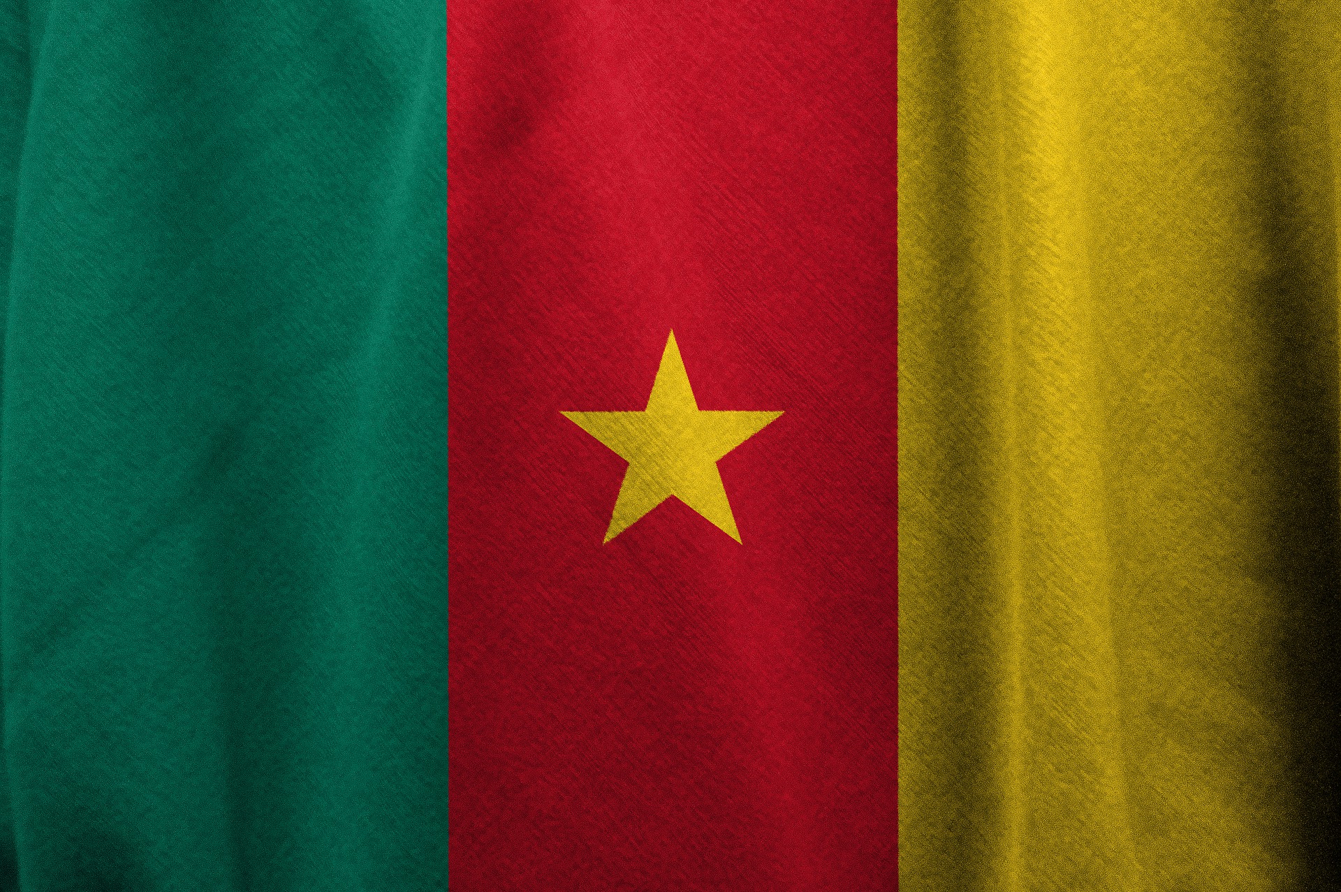 Flag of Cameroon (photo credit: pixabay)