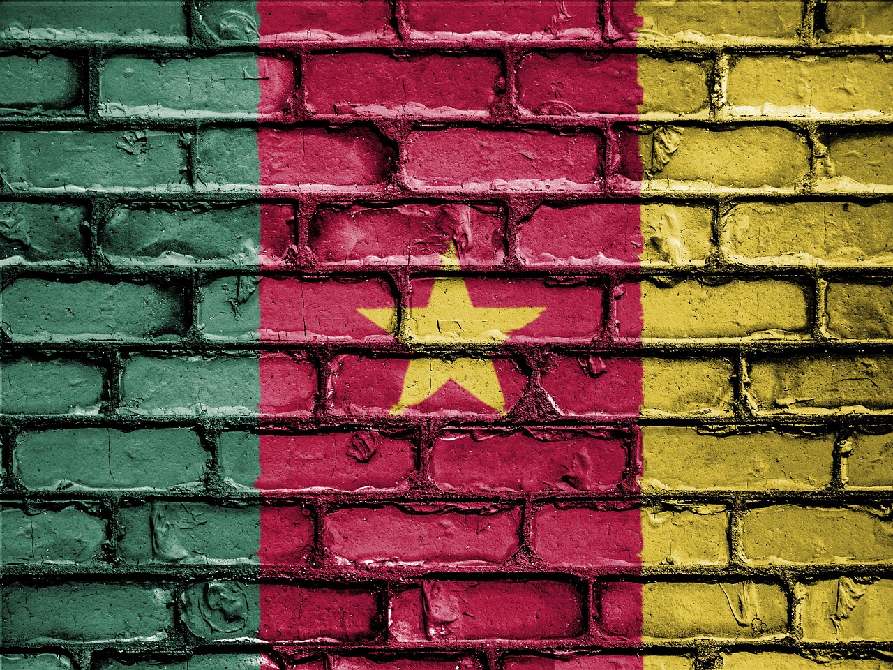 Flag of Cameroon (photo credit: David_Peterson via pixabay)