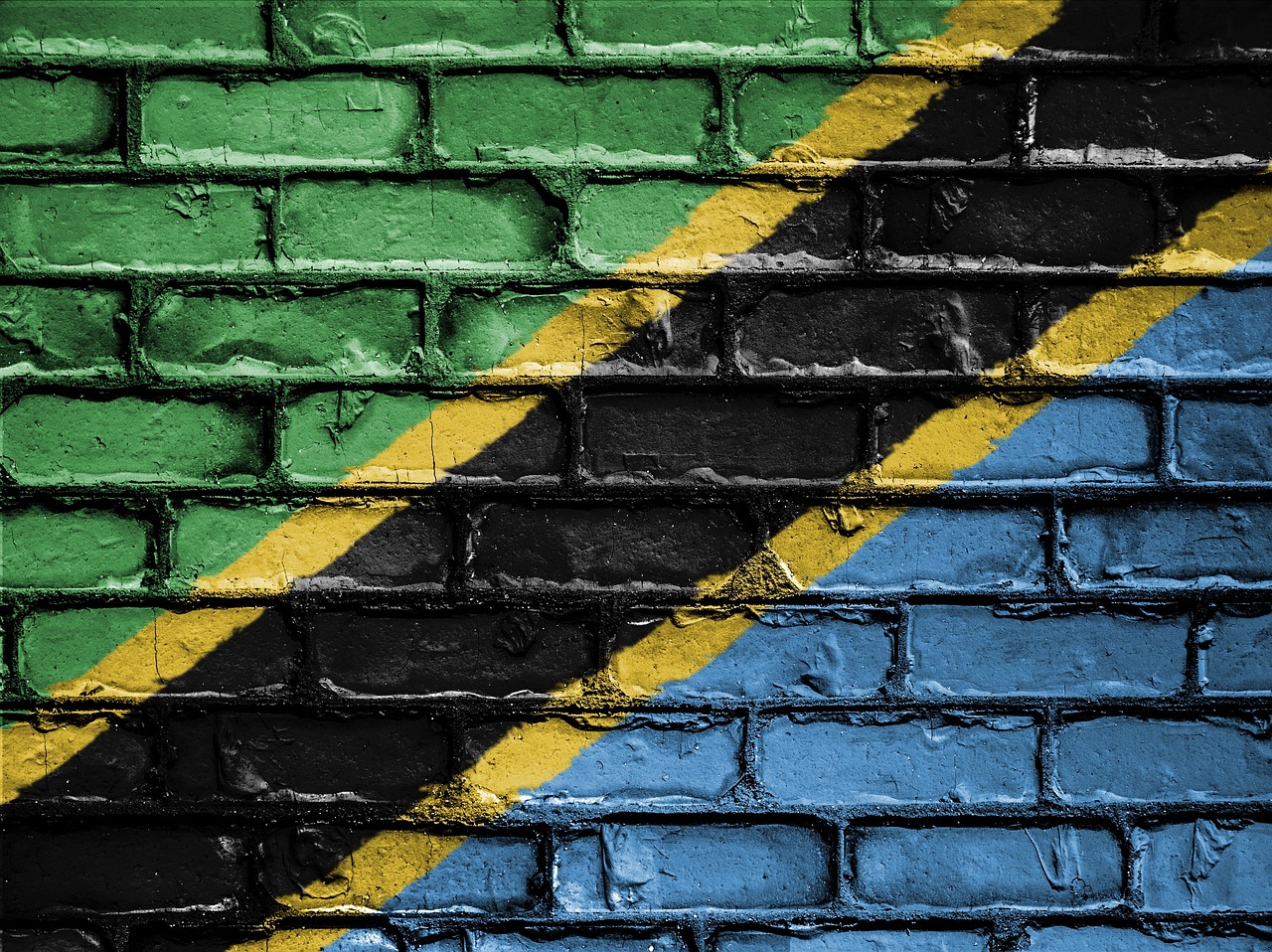Flag of Tanzania (photo credit: David_Peterson via pixabay)
