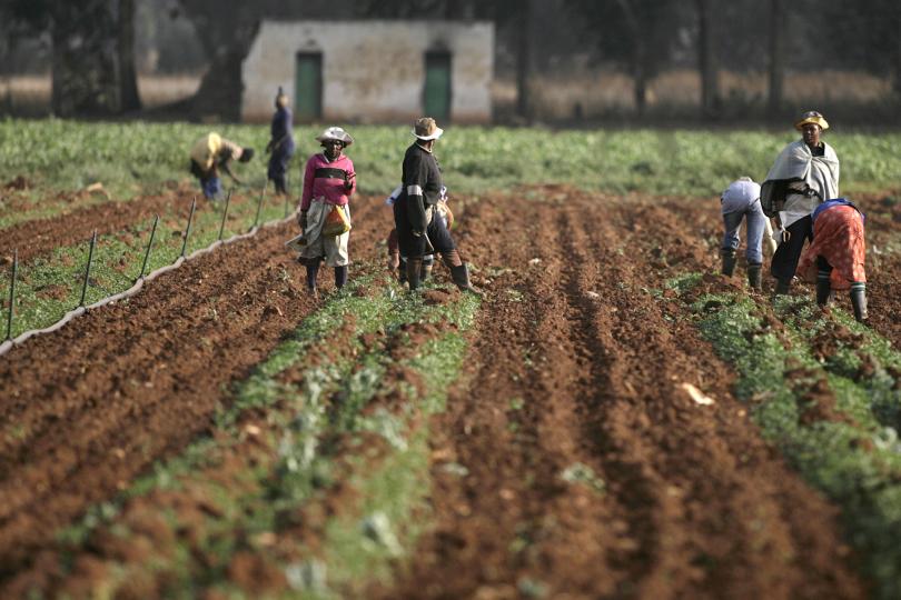South African farm workers (Photo credit: Reuters/Siphiwe Sibeko)