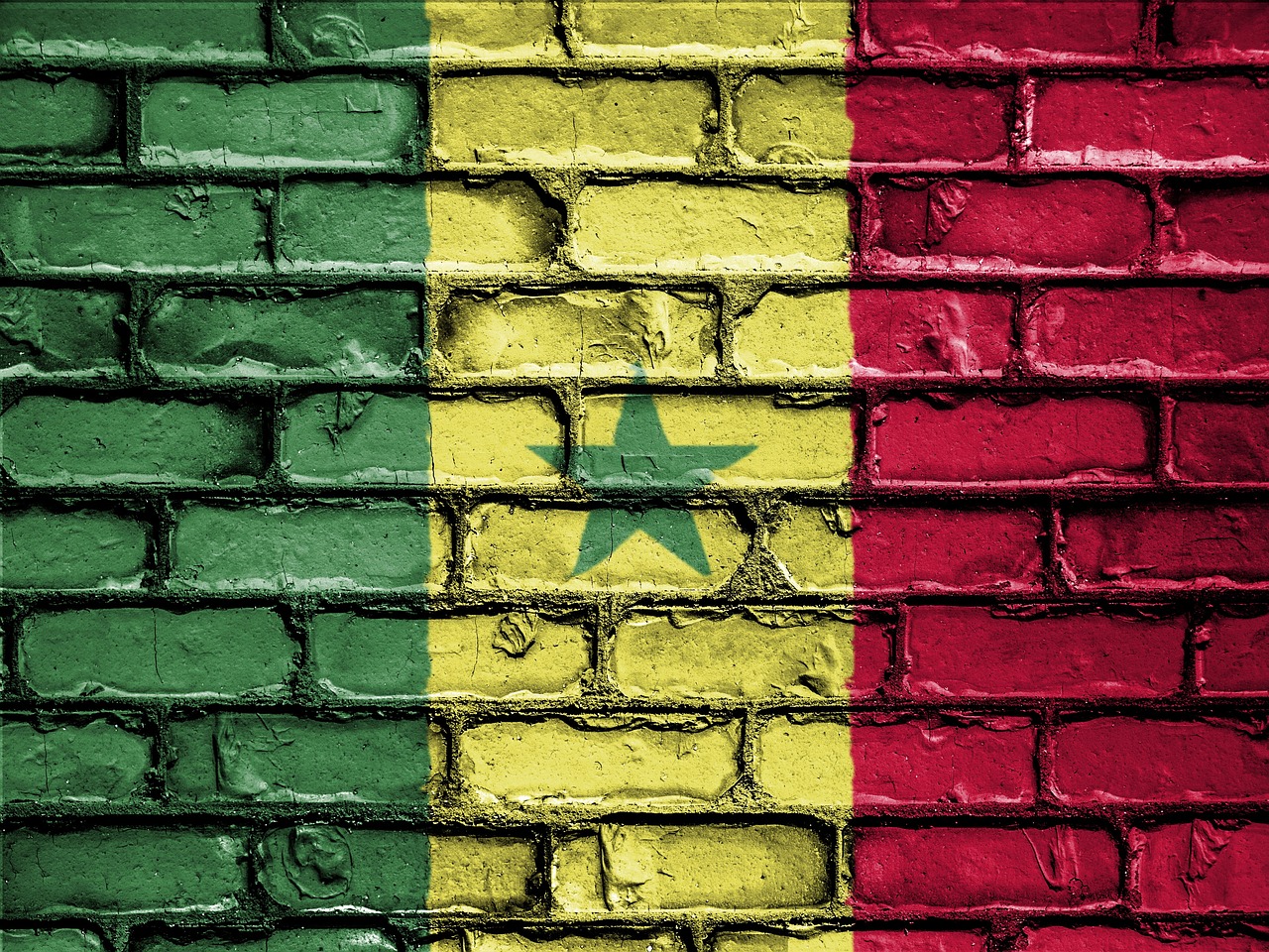 Flag of Senegal (photo credit: David Peterson via pixabay)