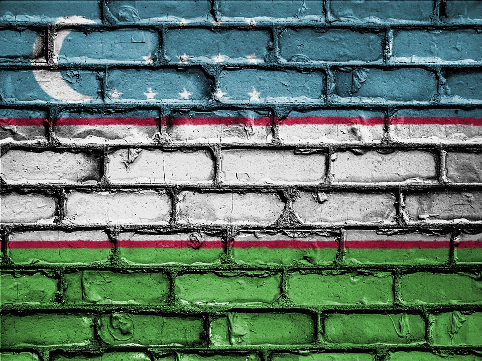 Flag of Uzbekistan (photo credit: David_Peterson via pixabay)