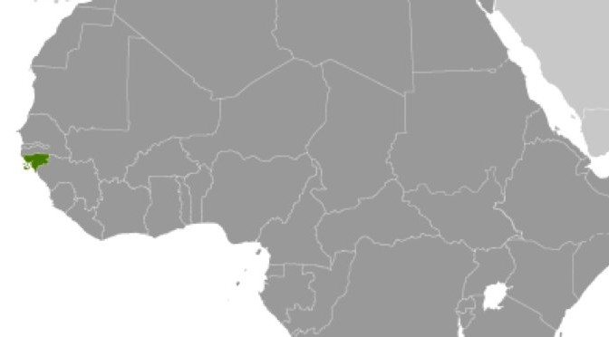 Guinea Bissau elections: A roadmap for restoration of constitutional order