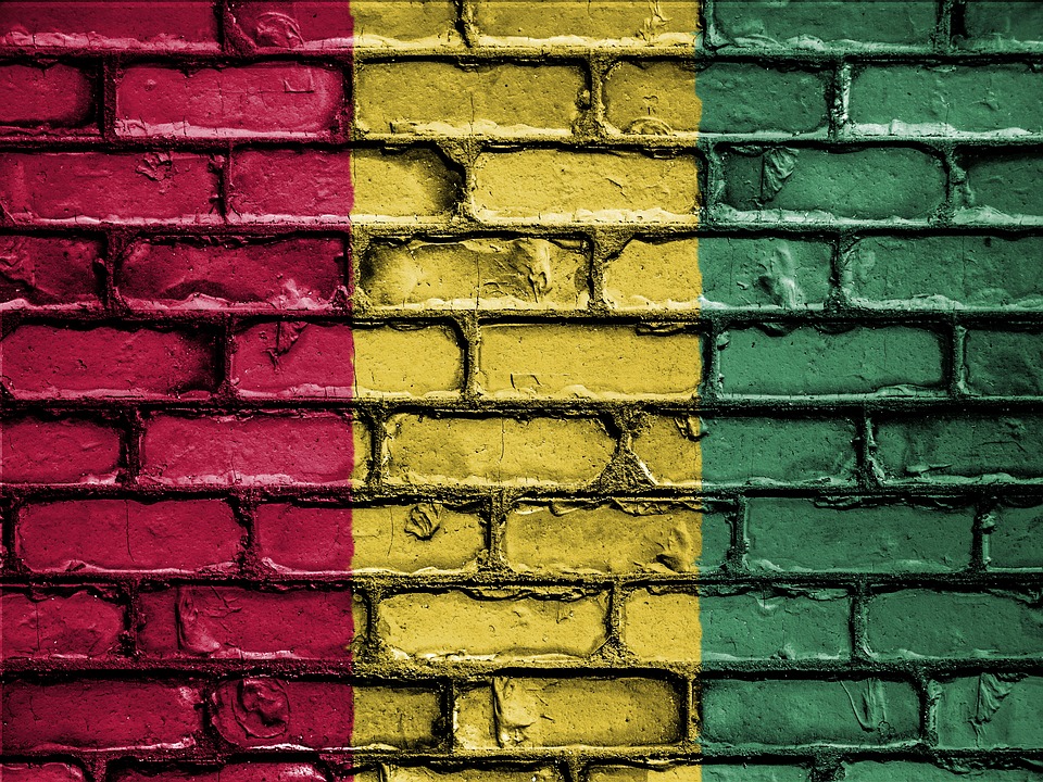 Flag of Guinea (photo credit: David Peterson / pixabay)