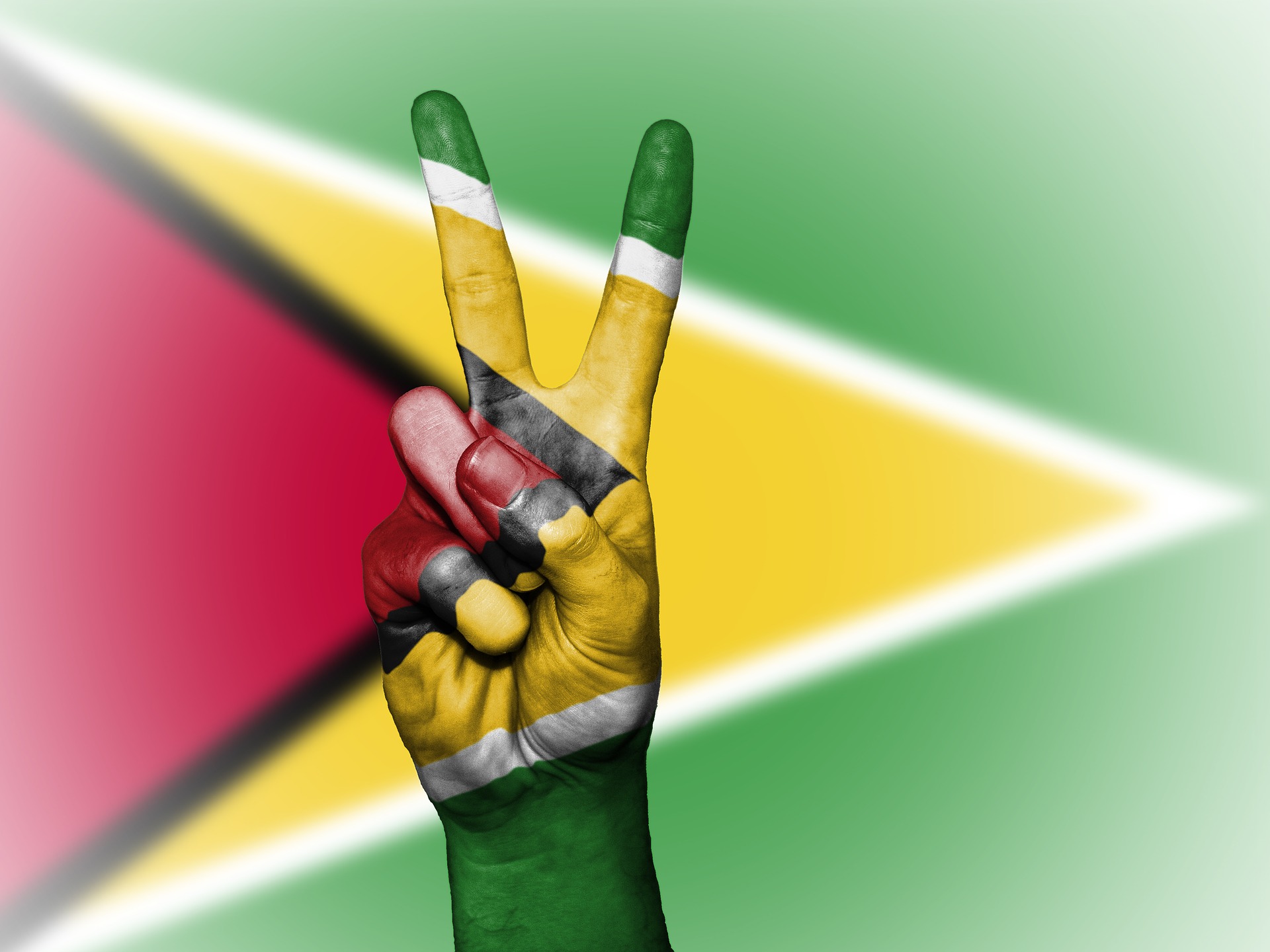 The flag of Guyana (Photo credit: Flickr)