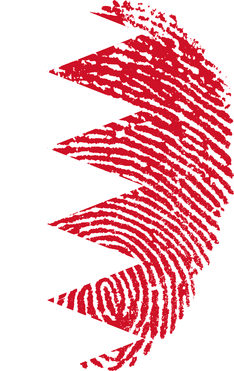 IDEA: The Role of Constitution-Building Processes in Democratization - Case Study Bahrain