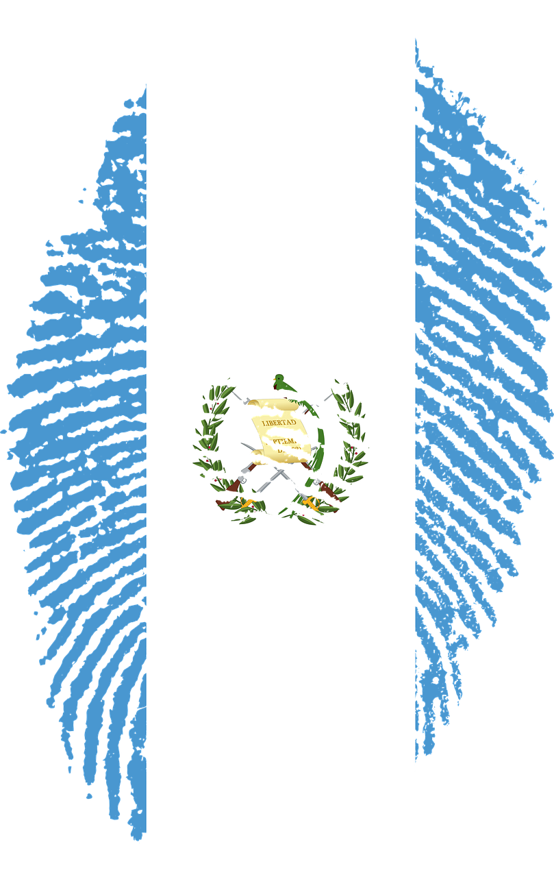 IDEA: The Role of Constitution-Building Processes in Democratization - Case Study Guatemala 