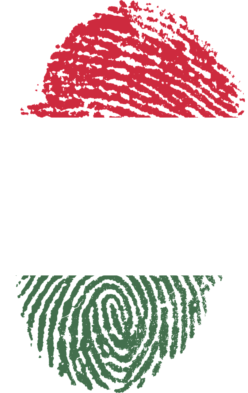 IDEA: The Role of Constitution-Building Processes in Democratization - Case Study Hungary
