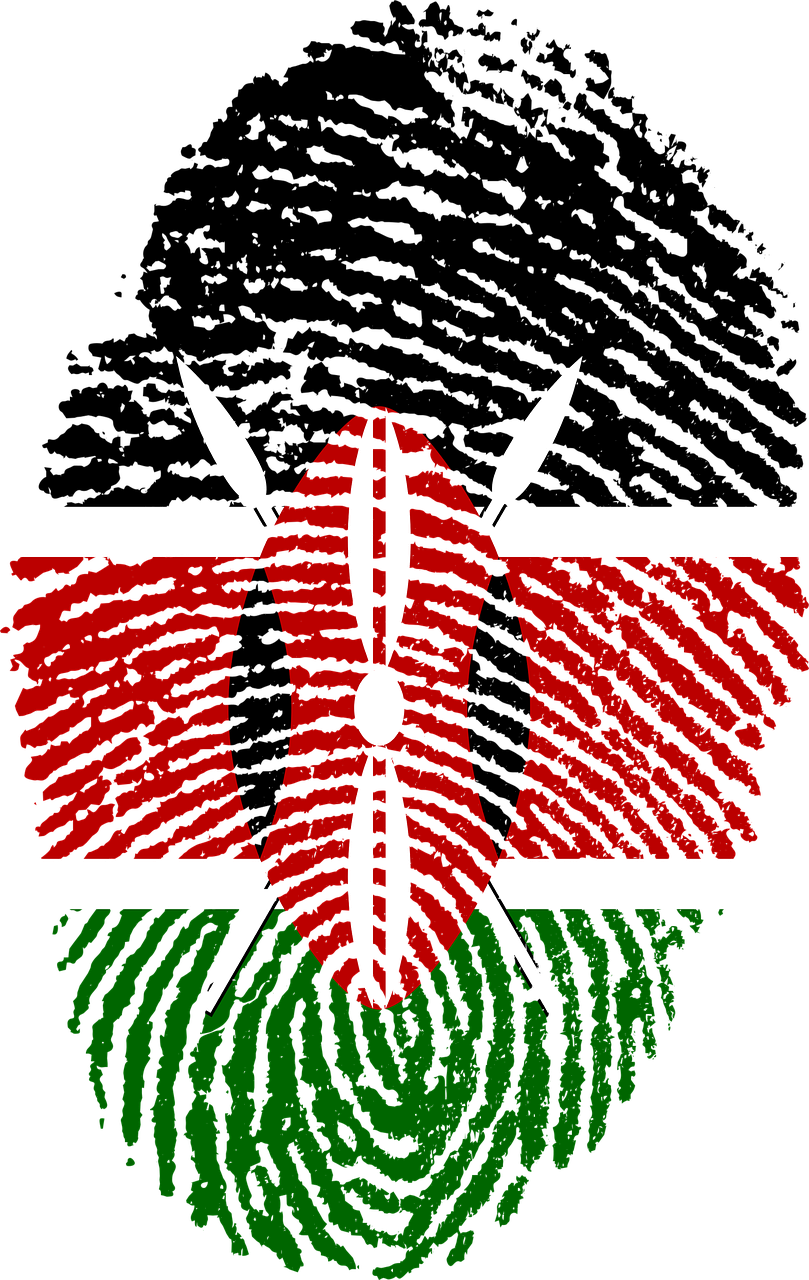 IDEA: The Role of Constitution-Building Processes in Democratization - Case Study Kenya 