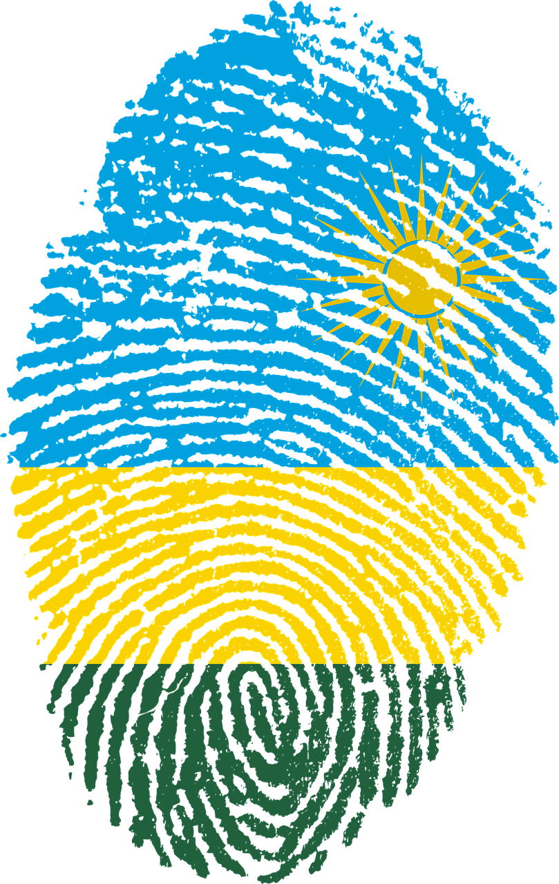 IDEA: The Role of Constitution-Building Processes in Democratization - Case Study Rwanda 