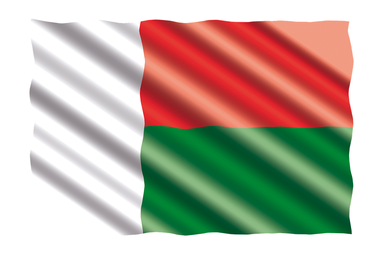 Flag of Madagascar (photo credit: jorono via pixabay)