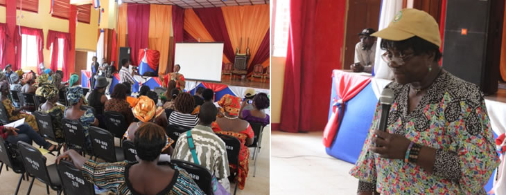 Liberian women hold confab to ensure protection in Constitution 
