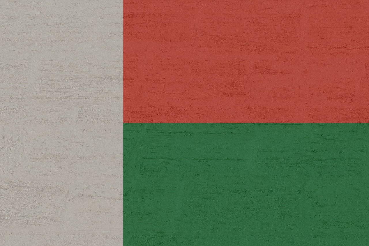 Flag of Madagascar (photo credit: Kaufdex via pixabay) Flag of Madagascar (photo credit: Kaufdex via pixabay)
