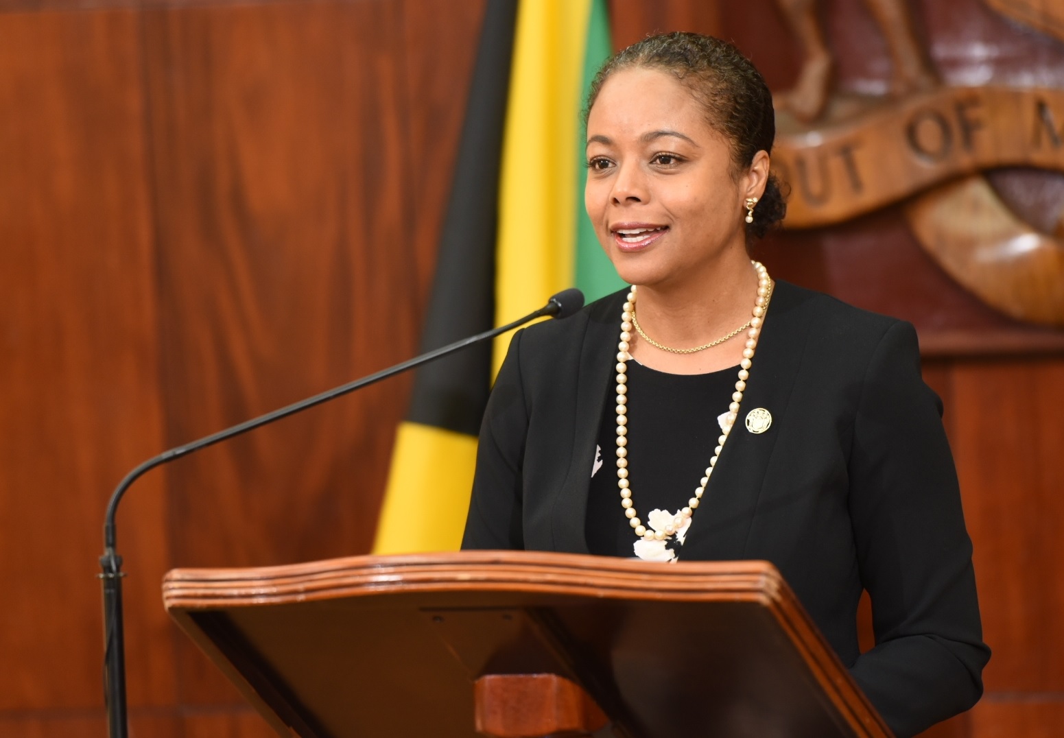 Legal and Constitutional Affairs Minister Marlene Malahoo Forte (photo credit: JIS)