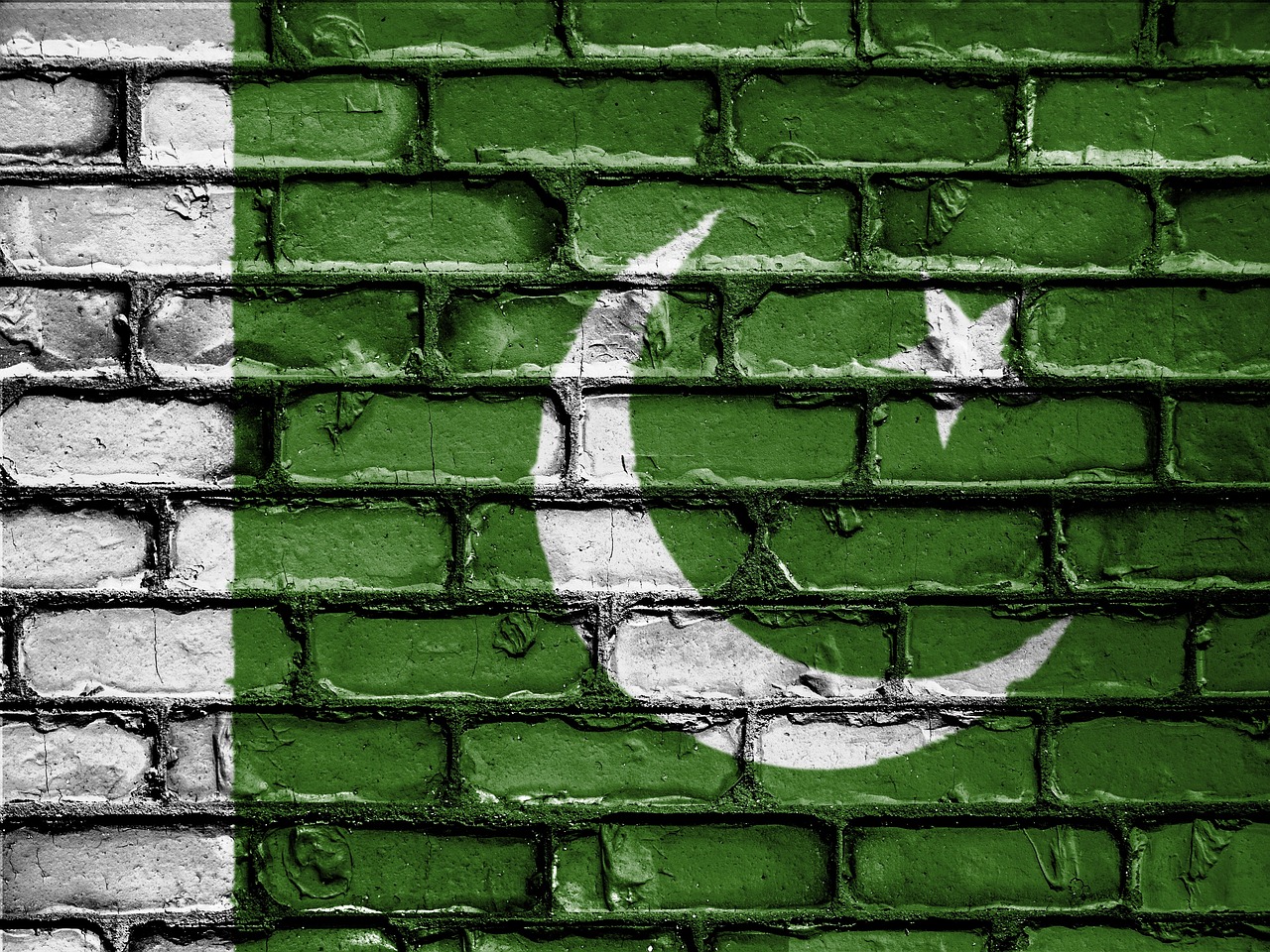 Flag of Pakistan (photo credit: David_Peterson via pixabay)