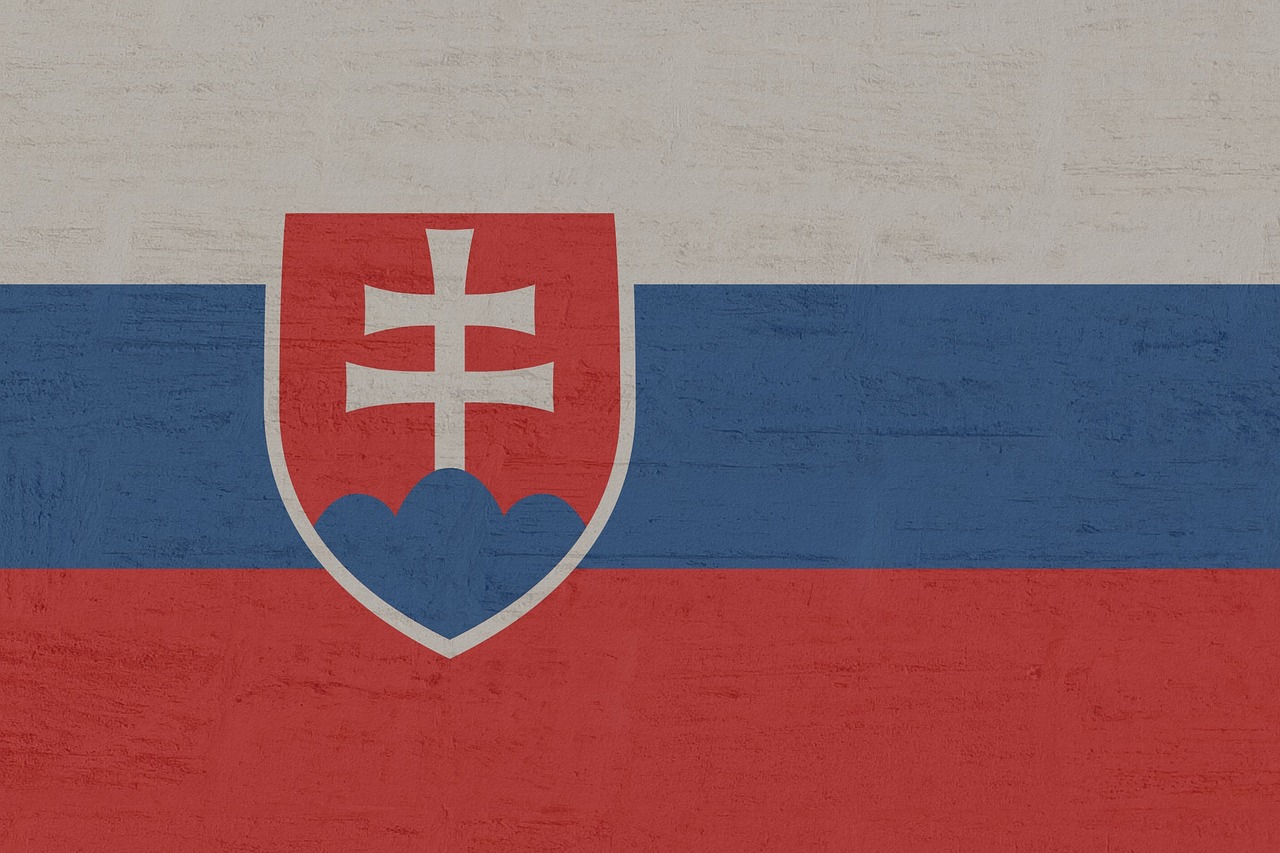 Flag of Slovakia (photo credit: Kaufdex via pixabay) Flag of Slovakia (photo credit: Kaufdex via pixabay)