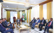 Meeting of the National Consultative Council (photo credit: Villa Somalia) 