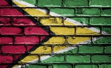 Flag of Guyana (photo credit: David_Peterson via pixabay)