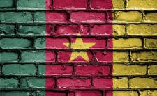 Flag of Cameroon (photo credit: David_Peterson via pixabay)
