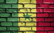 Flag of Senegal (photo credit: David_Peterson via pixabay)