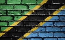 Flag of Tanzania (photo credit: David_Peterson via pixabay)