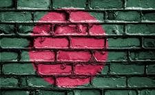 Flag of Bangladesh (photo credit: David_Peterson via pixabay)