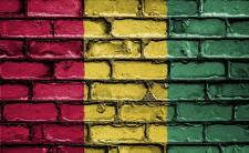 Flag of Guinea (photo credit: David_Peterson via pixabay)