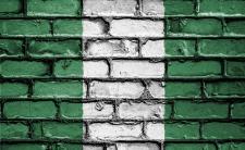 Flag of Nigeria (photo credit: David_Peterson via pixabay)