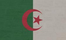 Flag of Algeria (photo credit: Kaufdex via pixabay)