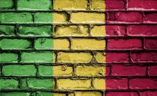 Flag of Mali (photo credit: David_Peterson via pixabay)