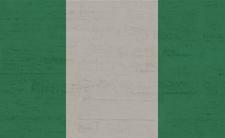 Flag of Nigeria (photo credit: Kaufdex via pixabay)