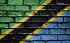 Flag of Tanzania (photo credit: David_Peterson via pixabay)