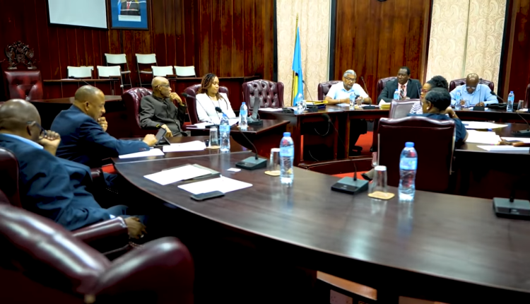 St. Lucia's Parliamentary Constitutional Review Committee (photo credit: Saint Lucia Government via Youtube)