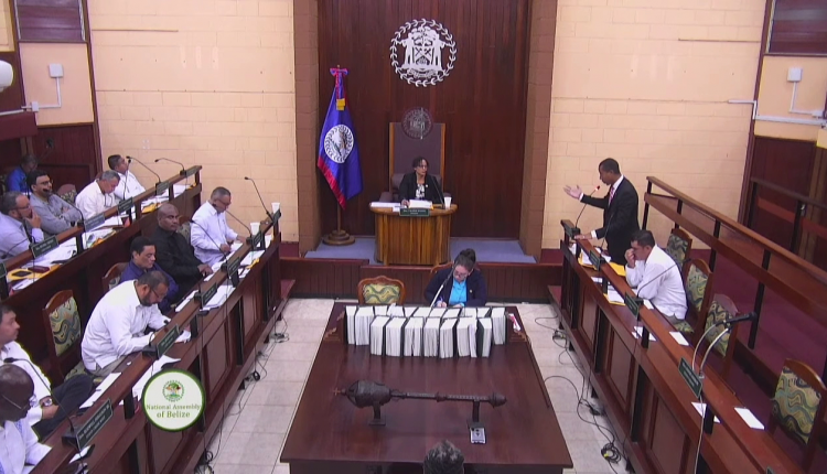 Second reading of People’s Constitution Commission Bill in parliament of Belize (photo credit: Channel 5 Belize)