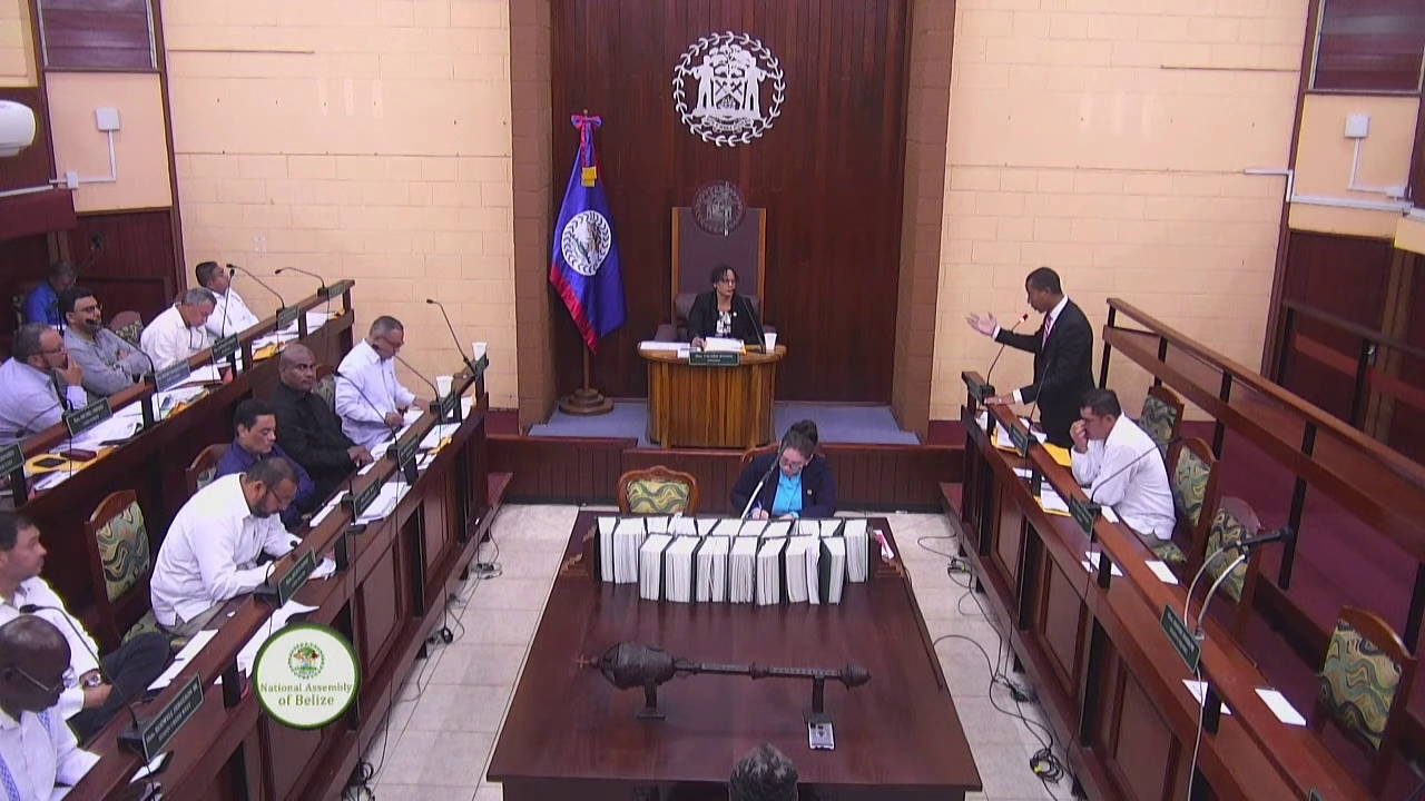 Second reading of People’s Constitution Commission Bill in parliament of Belize (photo credit: Channel 5 Belize)